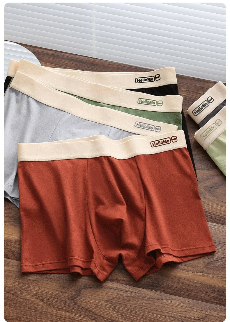 6Pcs/Men's Underwear High Quality Pure Cotton Boxer Shorts Anti-bacterial Breathable Sports Men Underwear Elasticity Large Size