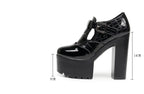 14cm Small Size 32-43 Elegant Patent Leather Mary Janes Chunky Platform Pumps 2025 Spring Block High Heels Shoes for Model Dress