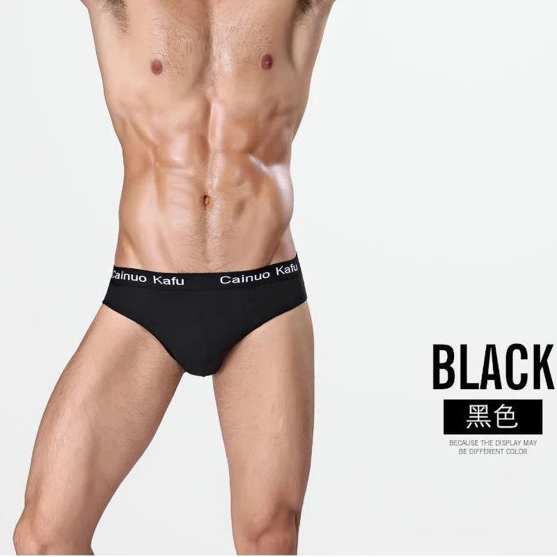 3Pcs/Lot Men's panties Silk  Men's Underwear New  Briefs Men Bamboo Fiber Mens Bodysuit Male Comfortable Solid Underpants