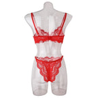 Tornova Sexy Lace Lingerie Suit for Women Mesh See-through Sexy Interesting Lingerie Two-Piece Ladies Body Shaping Underwear Set