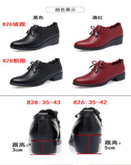 CINESSD 2023 New Fashion Lace Leather Platform Pumps Korean Style Casual Waterproof Pointed Toe Shoes for Women Spring Autumn