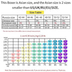 5pcs/Men's Underwear Summer Ice Silk Underwear Plus Size Panties Cool Breathable Sexy Boxer Panties Mesh Comfort Underwear L-5XL