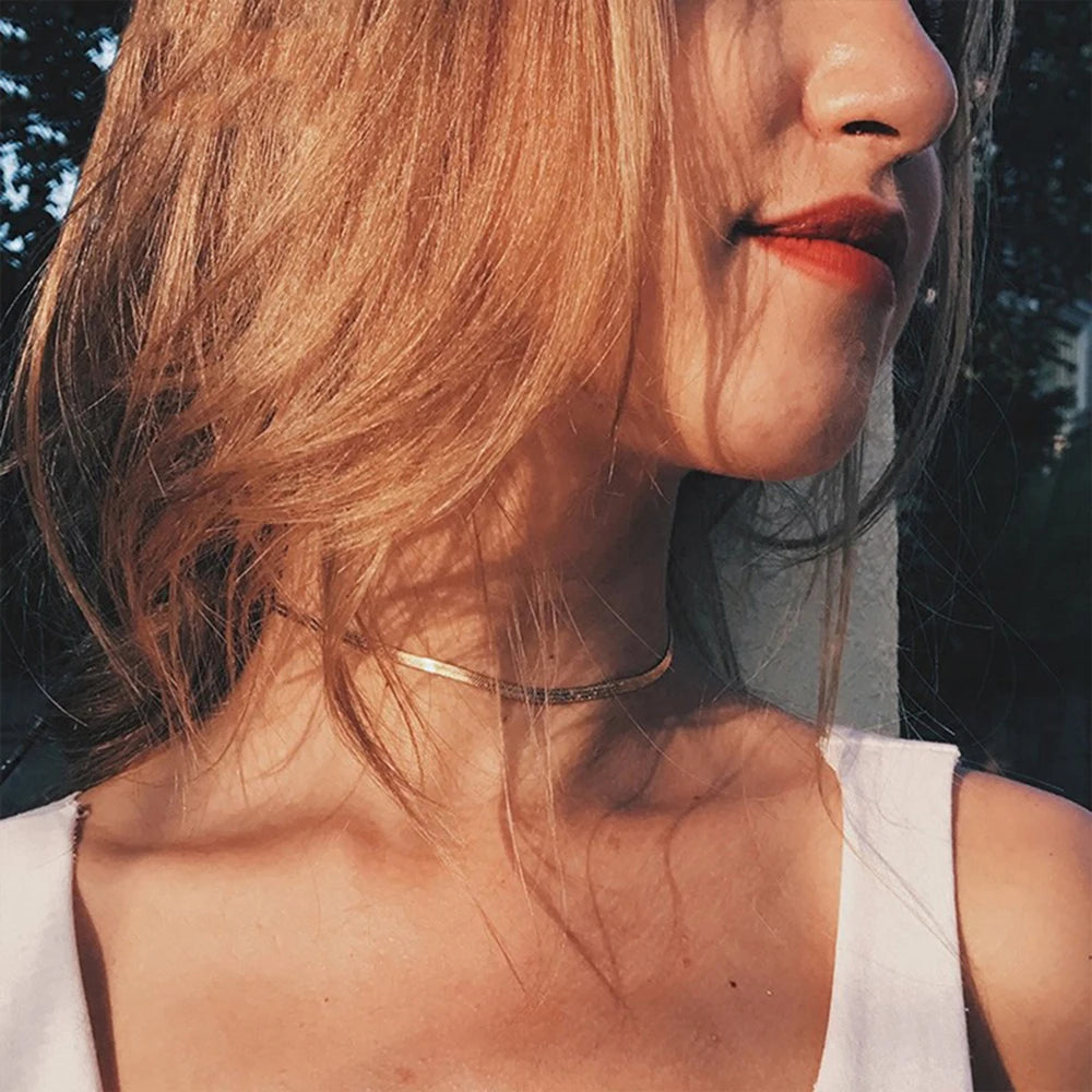 SUNIBI Stainless Steel Snake Chain Necklace for Woman Gifts Choker Herringbone Gold Color Necklaces Women Jewelry Wholesale