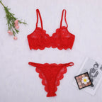 Tornova Sexy Lace Lingerie Suit for Women Mesh See-through Sexy Interesting Lingerie Two-Piece Ladies Body Shaping Underwear Set