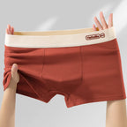 6Pcs/Men's Underwear High Quality Pure Cotton Boxer Shorts Anti-bacterial Breathable Sports Men Underwear Elasticity Large Size
