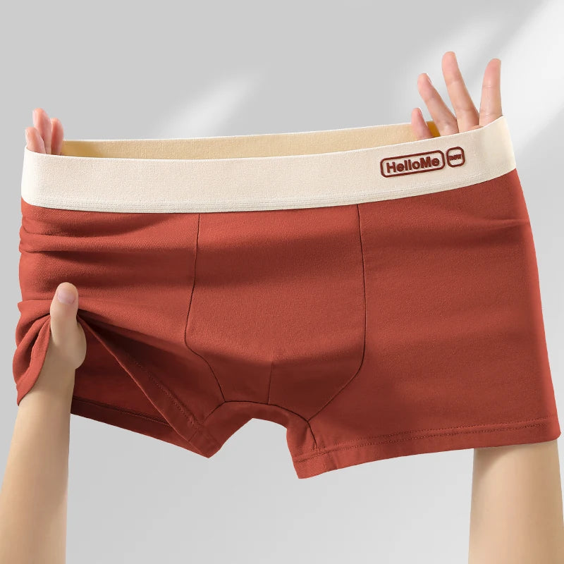 6Pcs/Men's Underwear High Quality Pure Cotton Boxer Shorts Anti-bacterial Breathable Sports Men Underwear Elasticity Large Size