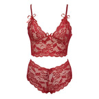 2026 NEW Thin Lace Flower Printed Underwear Suit Sexy Women Lingerie Set Female Adjustable Shoulder Strap Triangle Cup Bralettle