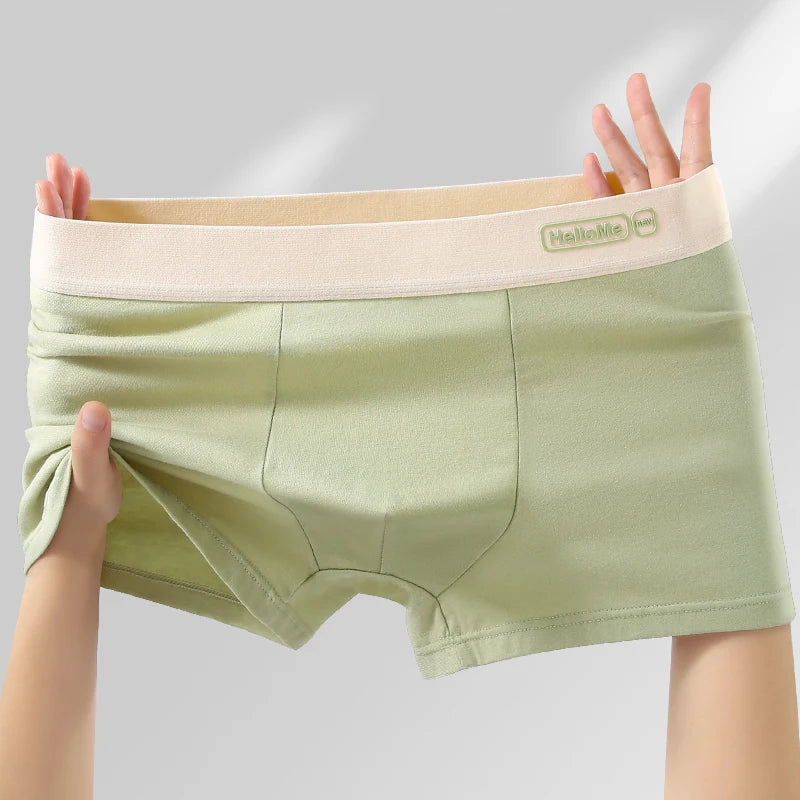 6Pcs/Men's Underwear High Quality Pure Cotton Boxer Shorts Anti-bacterial Breathable Sports Men Underwear Elasticity Large Size