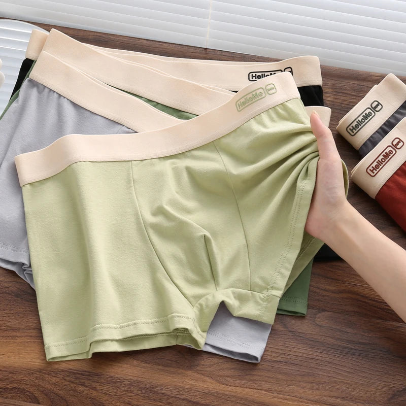 6Pcs/Men's Underwear High Quality Pure Cotton Boxer Shorts Anti-bacterial Breathable Sports Men Underwear Elasticity Large Size