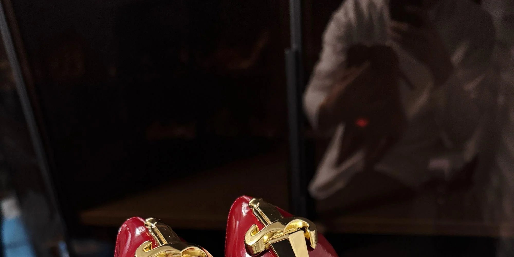 Red Bottom Metal Wand Sexy Sword Pointed Toe Thin Heel Evening Single High Heel Printed Bottom Comfortable Wear Ultra High Heels