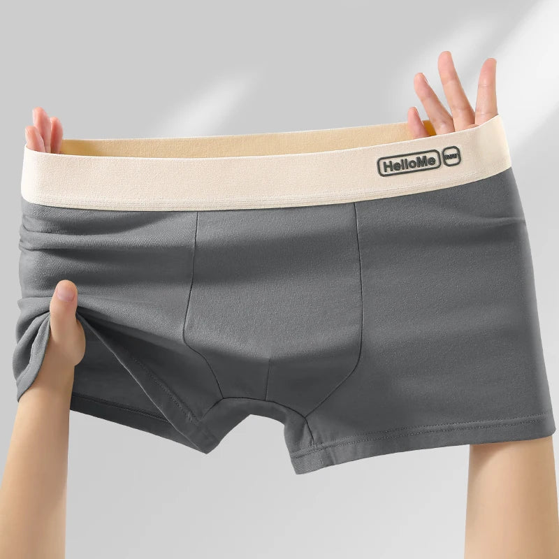 6Pcs/Men's Underwear High Quality Pure Cotton Boxer Shorts Anti-bacterial Breathable Sports Men Underwear Elasticity Large Size