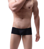 Men's Boxers Low-rise Ice Silk Underpants Men Small Boxer Shorts Sexy Underwear Men Panties Boxer Briefs