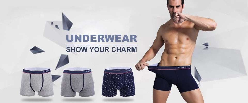 5pcs Boxers Men's Panties Breathable Boxer Shorts Men Underwear Polyester Underpants for Man High Quality Male Trunks