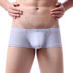 Men's Boxers Low-rise Ice Silk Underpants Men Small Boxer Shorts Sexy Underwear Men Panties Boxer Briefs