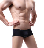 Men's Boxers Low-rise Ice Silk Underpants Men Small Boxer Shorts Sexy Underwear Men Panties Boxer Briefs