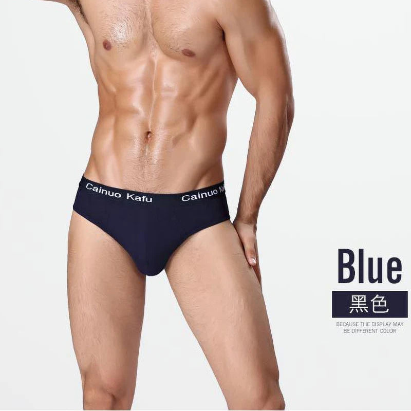 3Pcs/Lot Men's panties Silk  Men's Underwear New  Briefs Men Bamboo Fiber Mens Bodysuit Male Comfortable Solid Underpants