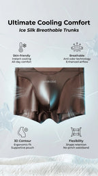 1/3PCS Luxury Satin-like Ice Silk Men Underwear Cool Breathable Double-side Mesh Men's Panties High Elastic Seamless Lingeries