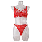 Tornova Sexy Lace Lingerie Suit for Women Mesh See-through Sexy Interesting Lingerie Two-Piece Ladies Body Shaping Underwear Set
