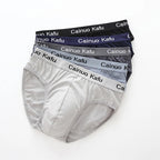 3Pcs/Lot Men's panties Silk  Men's Underwear New  Briefs Men Bamboo Fiber Mens Bodysuit Male Comfortable Solid Underpants